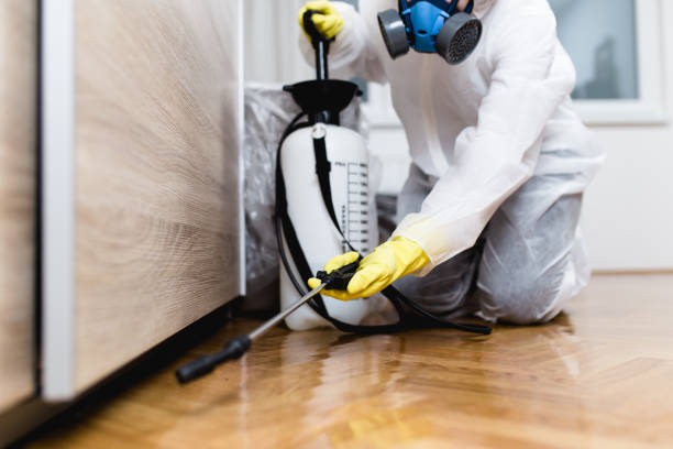 Best Pest Removal Services  in Penitas, TX
