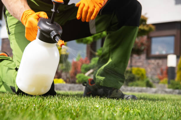 Trusted Penitas, TX Pest Control Experts